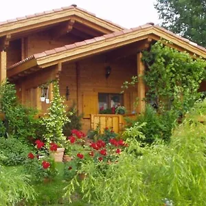 https://bb-paraiso-madera.hotelinveneto.com